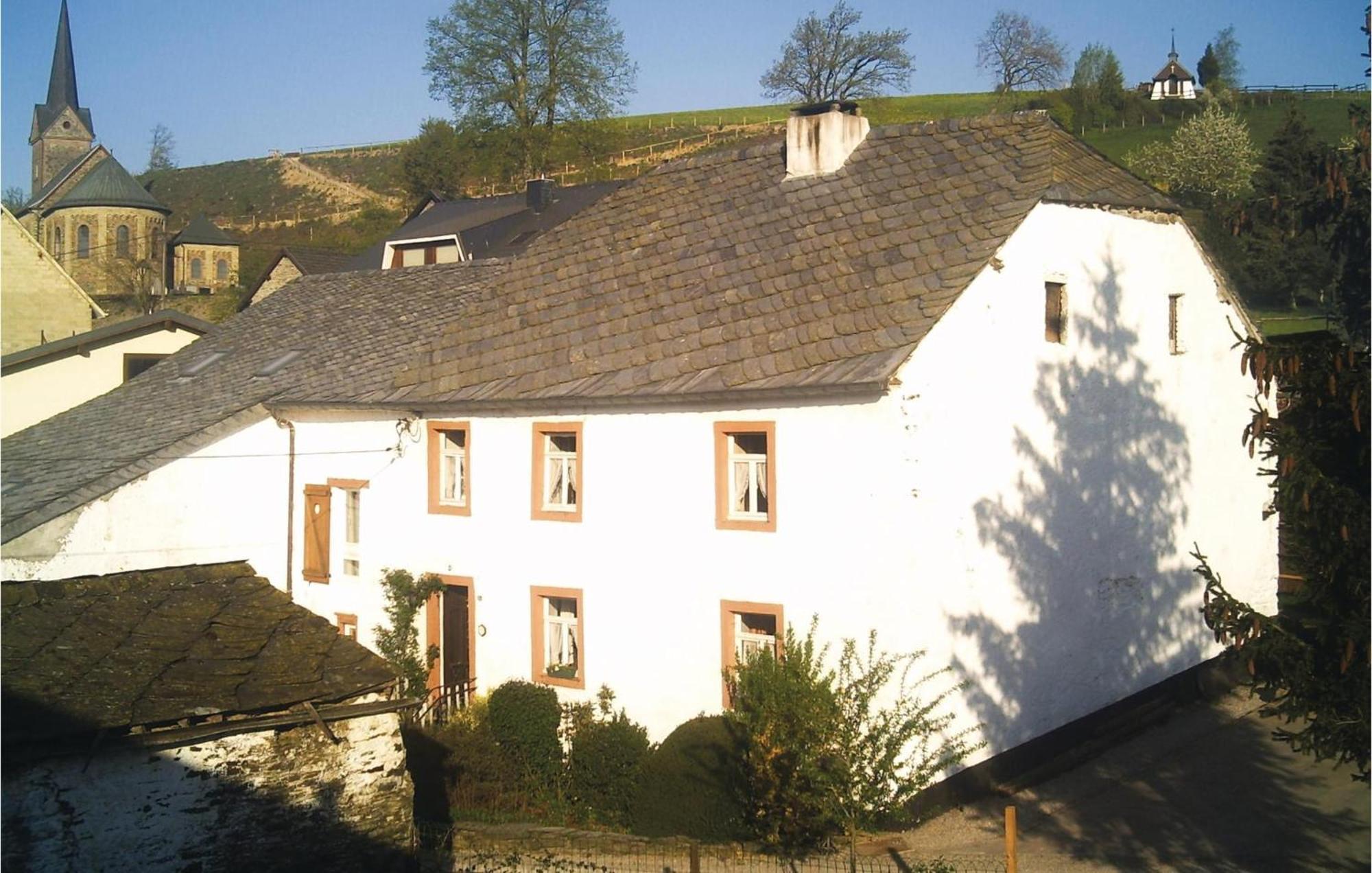 Haus Marx Villa Burg-Reuland Kültér fotó